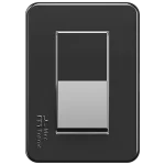 ACOPLAMIENTO CONVENCIONAL SWITCH SIMPLE 10A/250VAC CON PLACA MOV-ONYX - UNIDAD (85070) - LÍNEA MOVLIGHT